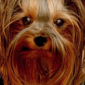 img_5765_xena img_5765_xena